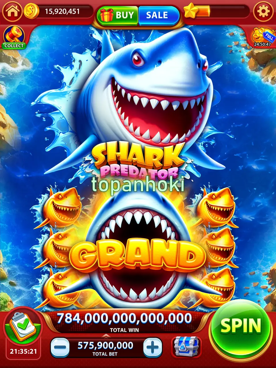 topanhoki APK